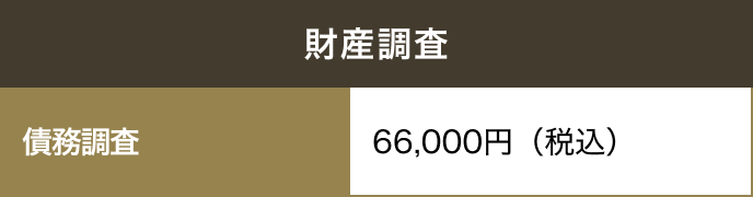 財産調査