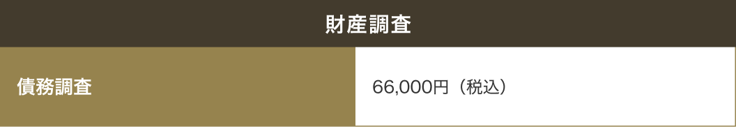 財産調査